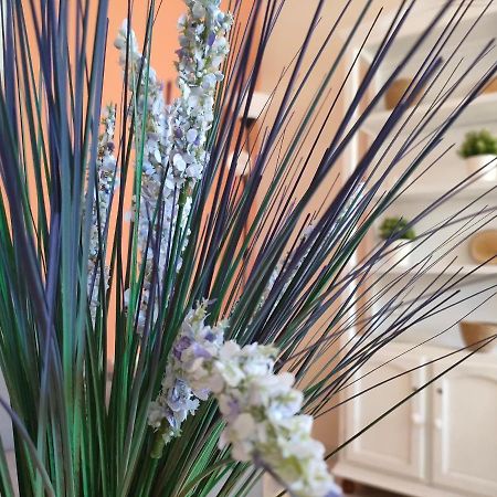 Apartamento 6 De Mayo Ronda Kültér fotó